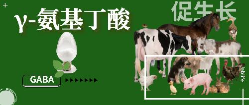 動(dòng)物生長調(diào)節(jié)劑—— γ-氨基丁酸（GABA）